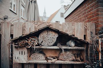 *** Insektenhotel in Haarlem *** von Brave Toaster Photos