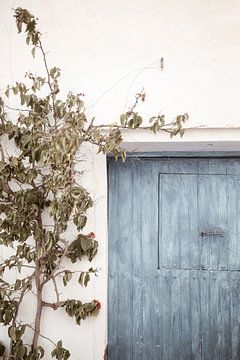 Pittoreske scène van een oude deur van Fotografia Elegante
