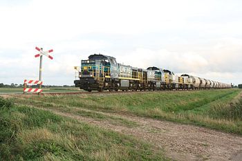 Die Lineas-Züge im niederländischen Tussenklappenpolder (2175)