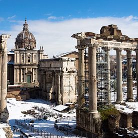 Forum Romanum in Rome van Michel van Kooten