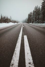 Schweden mitten im Nirgendwo von Andy Troy