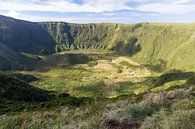 La Caldeira  gelegen in het midden van het eiland Faial  is een vulkaankegel  von Arline Photography Miniaturansicht