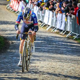 Remco Red Bull holt Gold auf dem Koppenberg von FreddyFinn