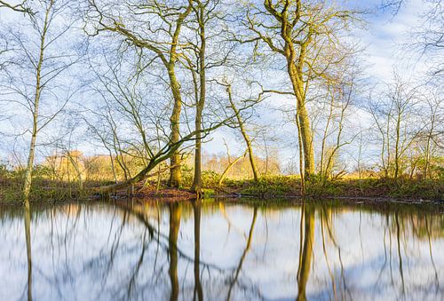 Natuurgebied Appelbergen - Glimmen (Nederland)