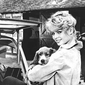 Brigitte Bardot by Tom Vandenhende