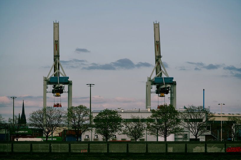 Crane duet by Nadine Gutmann