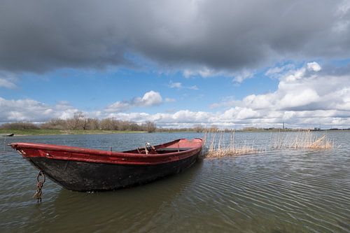 Rood roeibootje