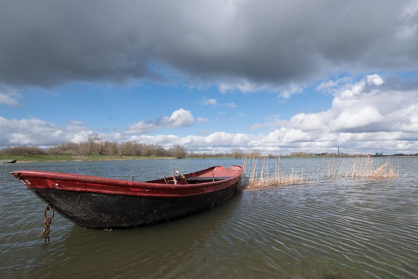 Rood roeibootje van Moetwil en van Dijk - Fotografie