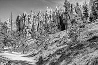 Bryce Canyon National Park van Loek van de Loo thumbnail