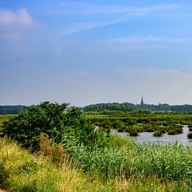 Panorama Brabantse Wal: Brutgebiet in der Grünen Oase von Kristof Leffelaer