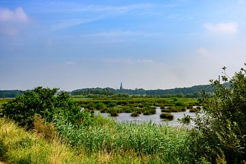 Panorama Brabantse Wal : zone de reproduction dans une oasis verte sur Kristof Leffelaer