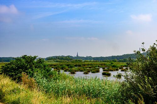 Panorama Brabantse Wal: Broedgebied in Groene Oase
