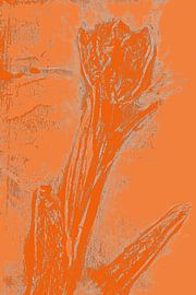 Art botanique moderne. Fleur bohème aux couleurs vives no. 6 sur Dina Dankers