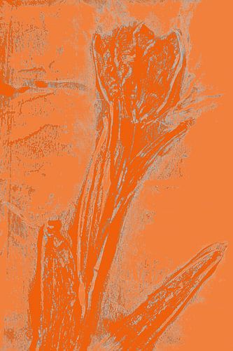 Moderne botanische kunst. Boho bloem in felle kleuren nr. 6