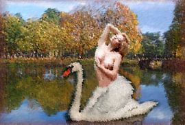 zwaan vrouw -woman - femme- Frau von aldino marsella