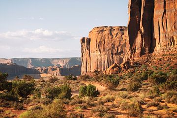 American West - Monument Valley VI