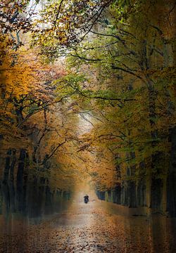 Planken Wambuis part 161 by Tania Perneel