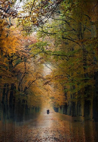 Planken Wambuis Teil 161 von Tania Perneel