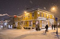 Le pays des merveilles de l'hiver