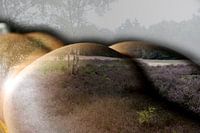 les fesses des femmes dans le paysage