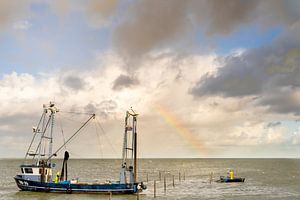 Fischerboot auf dem Markermeer.