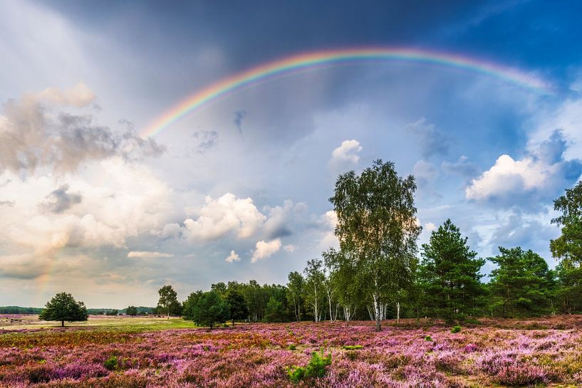 Rainbow over the heath landscape by Daniela Beyer