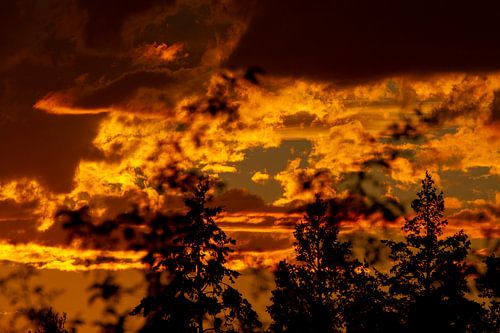 De lucht in vuur en vlam