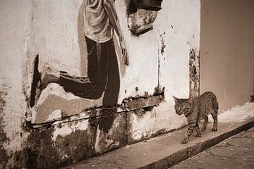 Kat in de straten van Kuching, Borneo van Elles Rijsdijk