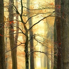 Autumn to Winter II by Lars van de Goor