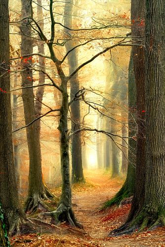 Autumn to Winter II by Lars van de Goor