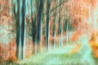 Autumn movement