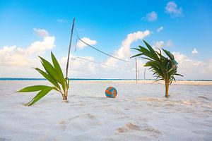 Beach volleyball on a tropical island sur Michiel Ton