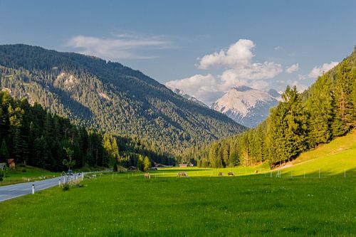 Prachtig alpenpanorama in Tirol