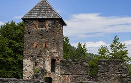 Ruin from the Ligist at  Austria by Sander Beekhof