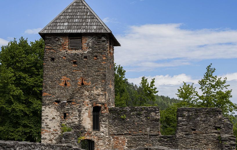 Burgruine Ligist Oostenrijk van Sander Beekhof