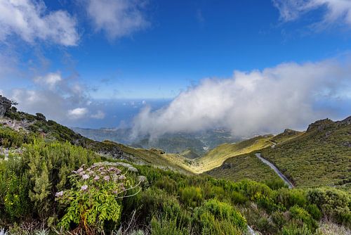 Berglandschaft auf Madeira von Dirk Rüter