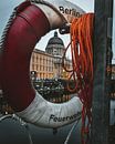 Berlin Castle by Robin Berndt thumbnail