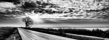 Gegenlicht auf Usedom