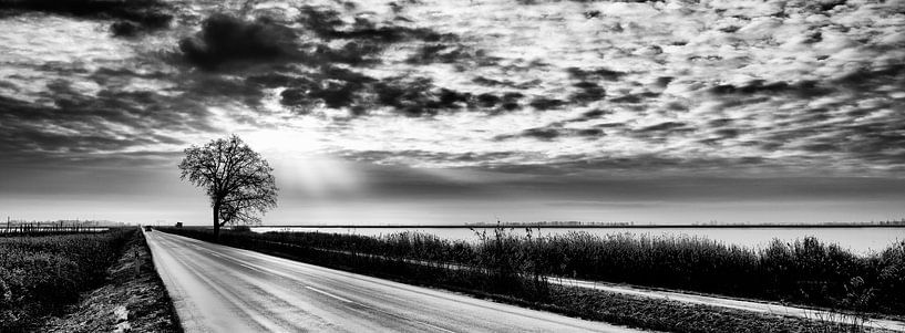 Gegenlicht auf Usedom von Heiko Westphalen