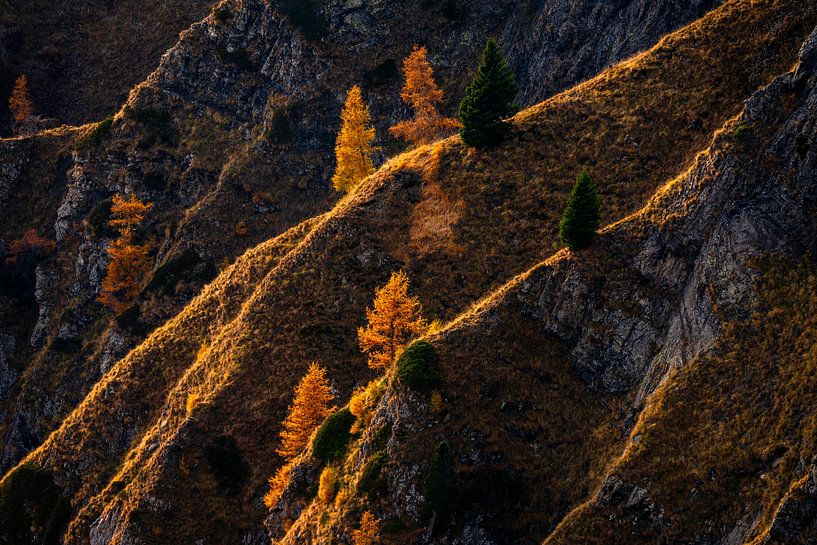 The last Light von Falko Schulze Photography