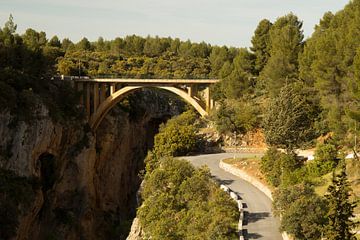 Pont de la forêt sur Cornelis (Cees) Cornelissen