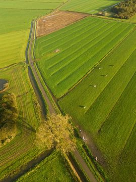 Mooi lijnenspel in het weidse landschap van Moetwil en van Dijk - Fotografie