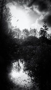 Herbstsonne auf dem Wasser