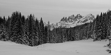 Winterlandschap van Bettina Schnittert