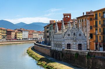 Gezicht op de oude stad van Pisa met Santa Maria della Spina en de rivier de Arno, Italië van Animaflora PicsStock