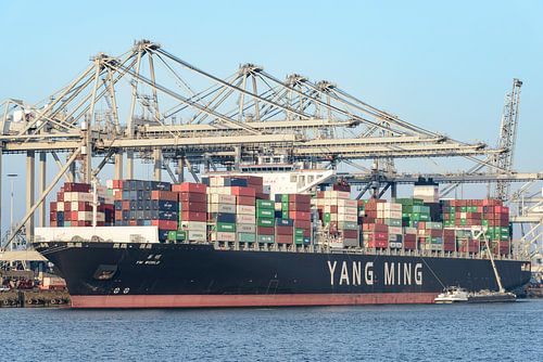 Container schip aangemeerd in de haven van Rotterdam op de Maasvlakte