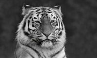 Wonderful Lady (version monochrome)