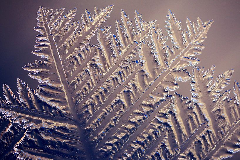 Christmas in ice...Christmas in ice by Els Fonteine