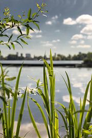 Kralingse Plas Rotterdam nature by Rob van der Teen