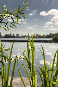 Kralingse Plas Rotterdam natuur van Rob van der Teen